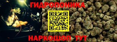 не бодяженный Будённовск