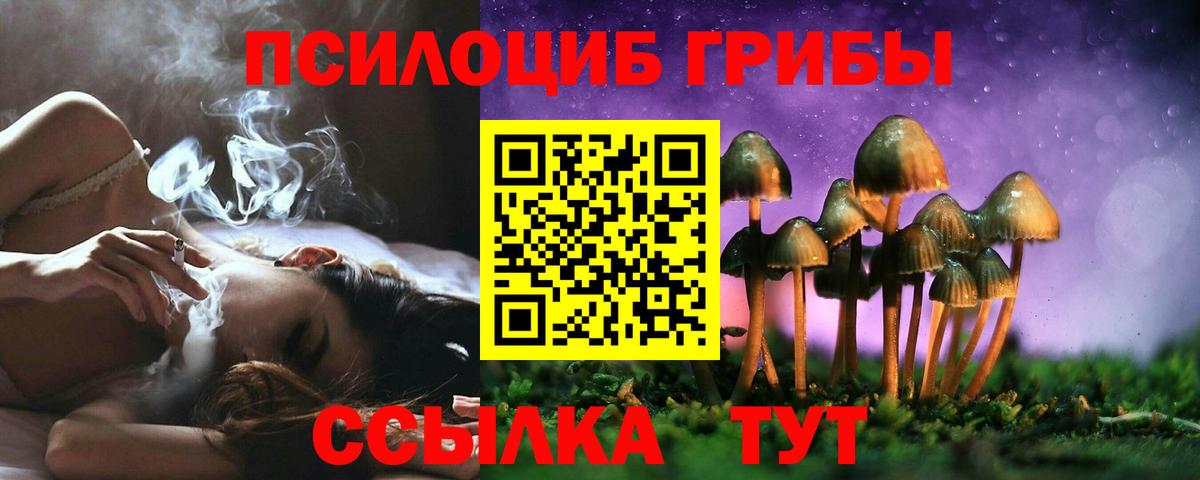 Снежинск  Псилоцибиновые грибы Cubensis  закладка  Вход с VPN 